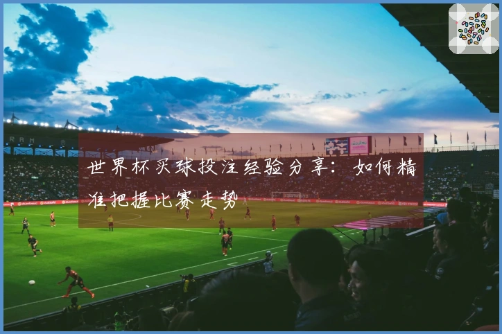 世界杯买球投注经验分享：如何精准把握比赛走势