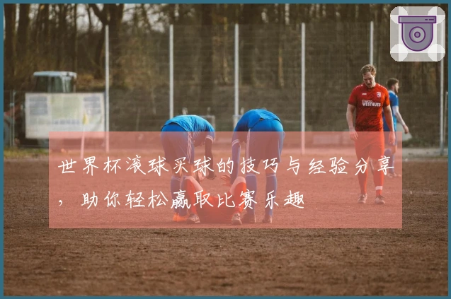 世界杯滚球买球的技巧与经验分享，助你轻松赢取比赛乐趣