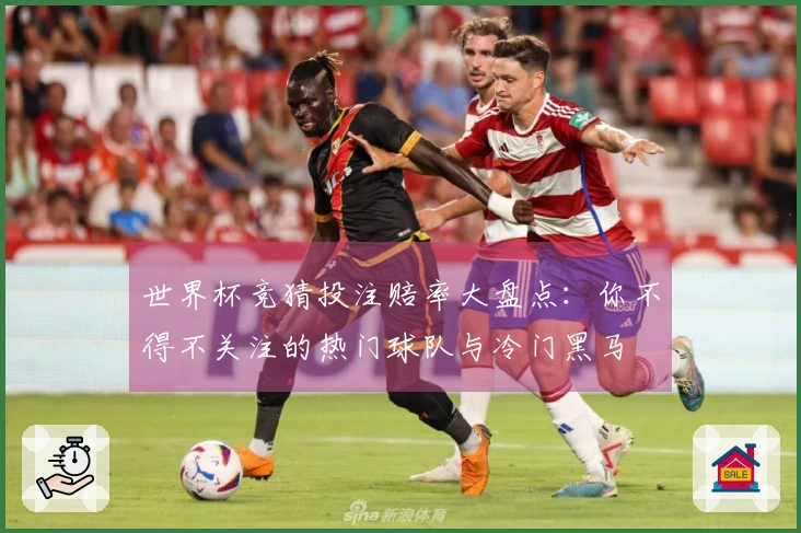世界杯竞猜投注赔率大盘点：你不得不关注的热门球队与冷门黑马
