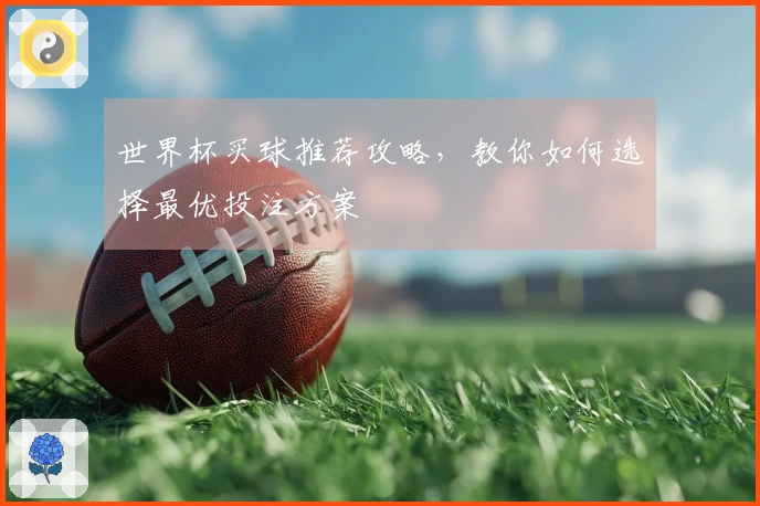 世界杯买球推荐攻略，教你如何选择最优投注方案