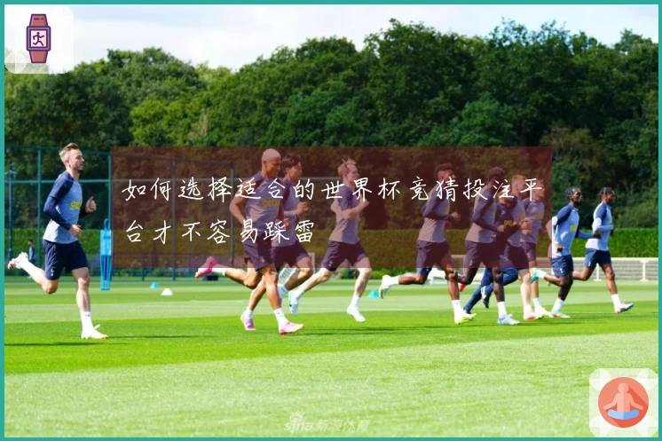如何选择适合的世界杯竞猜投注平台才不容易踩雷