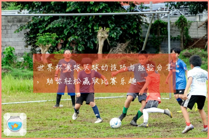 世界杯滚球买球的技巧与经验分享，助你轻松赢取比赛乐趣