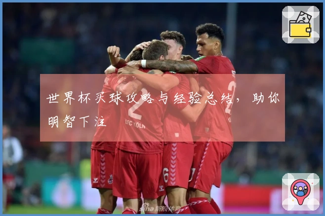 世界杯买球攻略与经验总结，助你明智下注