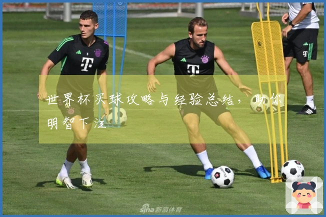 世界杯买球攻略与经验总结，助你明智下注