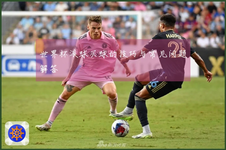 世界杯滚球买球的技巧与常见问题解答